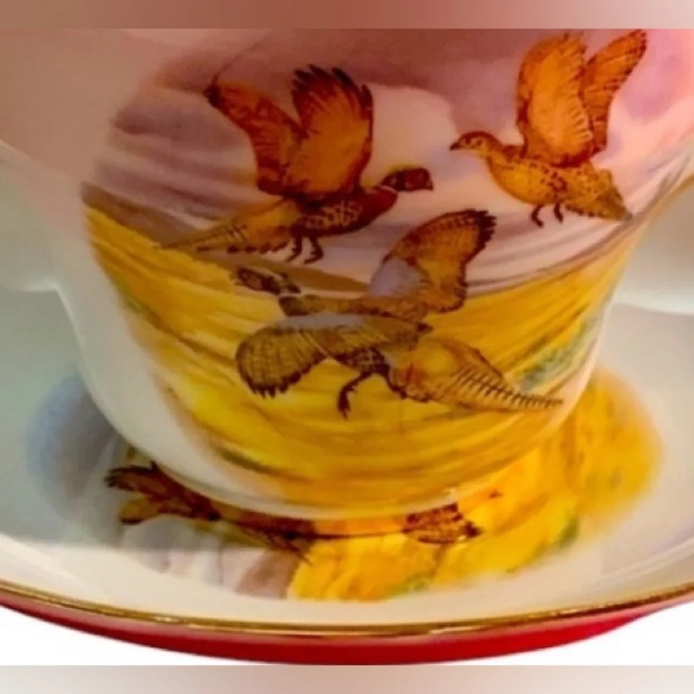 Regency,‎ Cup & Saucer with Pheasant flying in orange evening sky. Bone China - Picture 2 of 10